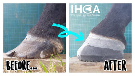 Glushu for flared TB feet