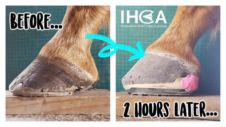 EponaShoes for Classing Long Toe, Low Heel