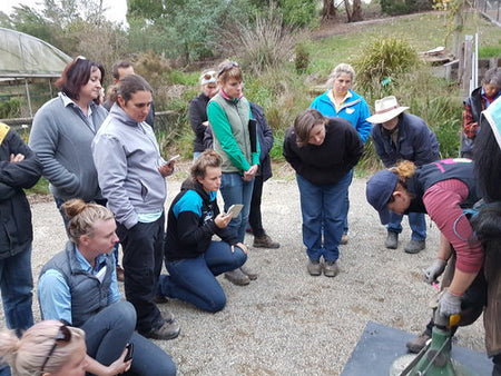 Hoof Care Paradigms - and the conscientious practitioner...