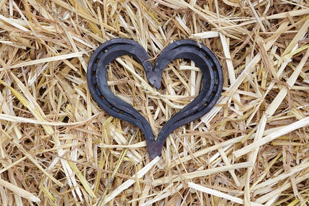 Beware The Love Bomb