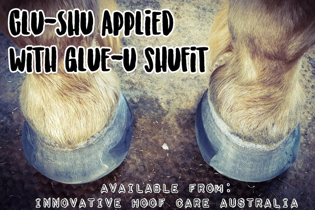 Glue-U Shubond Glue - Acrylic Adhesive