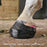 Eldrún Equine - Sleipnir Hoof Casting