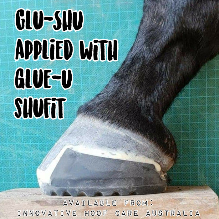 Glue U Glue On Horseshoes