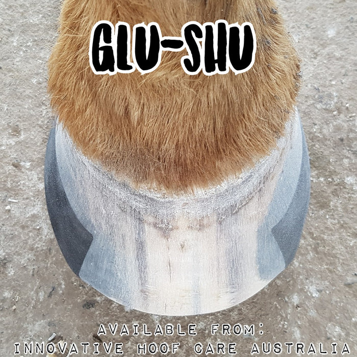 GluShu Kit